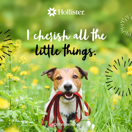Life affirmation social card: “I cherish all the little things!”